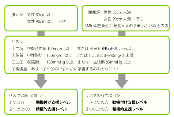 健診結果により支援レベルを判定します。