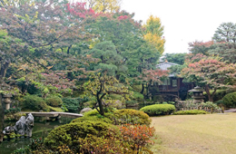 庭園